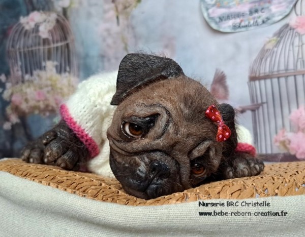 B Monty simon Laurens (9)